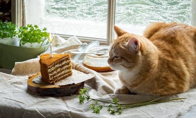 Jak Rozpoznać Ile Lat Ma Kot? – Sprawdź 3 Kluczowe Cechy